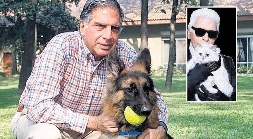 Milyarder, köpeği Tito’ya servet bıraktı