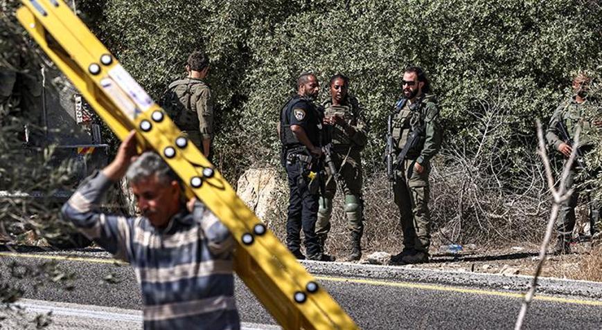 İsrailliler asırlık yüzlerce zeytin ağacını kesti