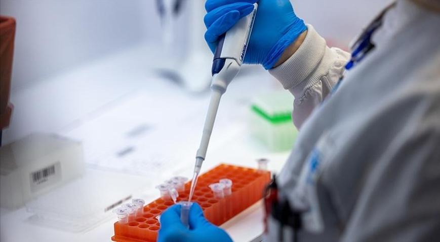 İlk kez oluyor M çiçeğinin yeni varyantı klad 1b ortaya çıktı