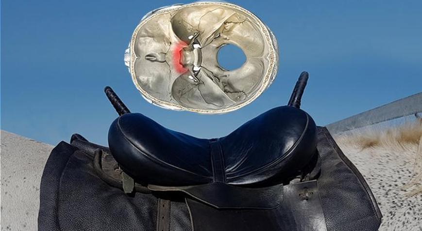 Türkün eyeri dünyayı koruyor Kafatasındaki hazine: Her şeyin kontrolü gizli kutuda