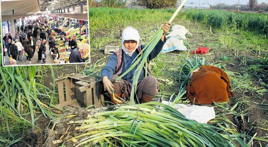‘Sofra’nın hesabını artık iklim yapacak