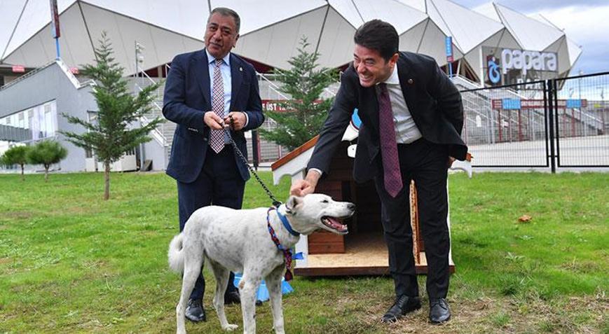 Trabzonspor, Fenerbahçe maçından önce sahaya giren köpeği sahiplendi