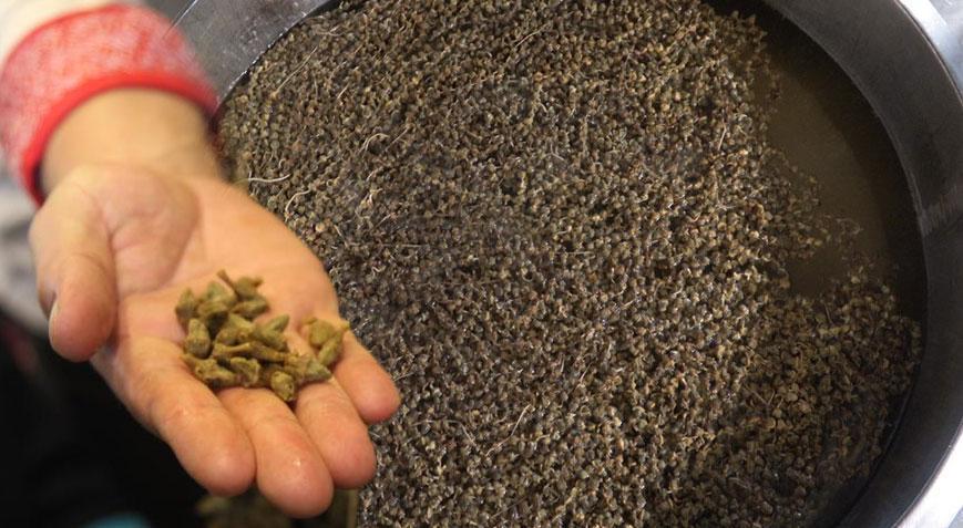 1 kilosu 2 bin liradan satılıyor Kente gelen uğramadan gitmiyor