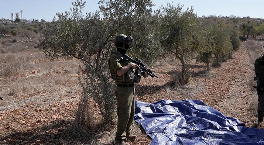 İsrail saldırıları, zeytin ve zeytinyağı üretimini de vurdu