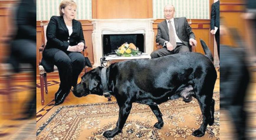 ‘Köpeklerden korktuğunu bilmiyordum’