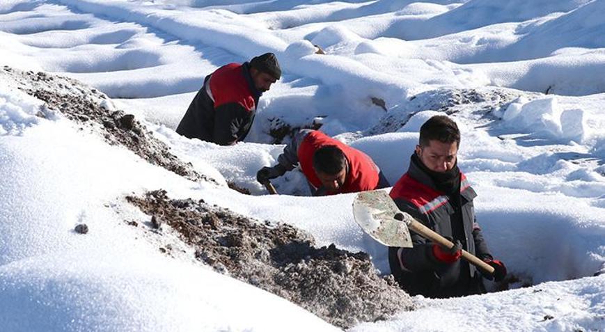 Erzurumda kış hazırlığı: 500 adet mezar kazıldı