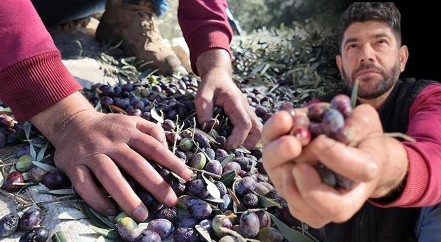 Çift kollu mucize: Her işimi kendi başıma yapabiliyorum