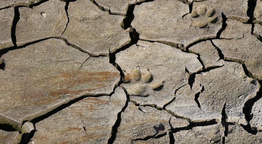 Bursa barajlar alarm veriyor Son 10 yılın Aralık ayı en düşük seviyesi