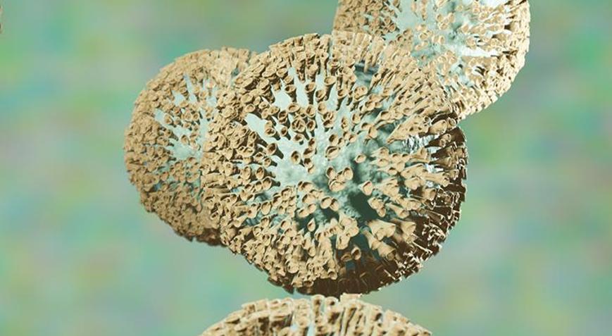 Kanserle savaşan atom maddeleri bulundu