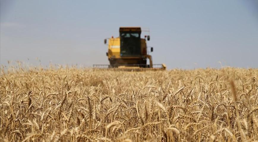 1,4 milyar lira tarımsal destekleme ödemesi yapılacak