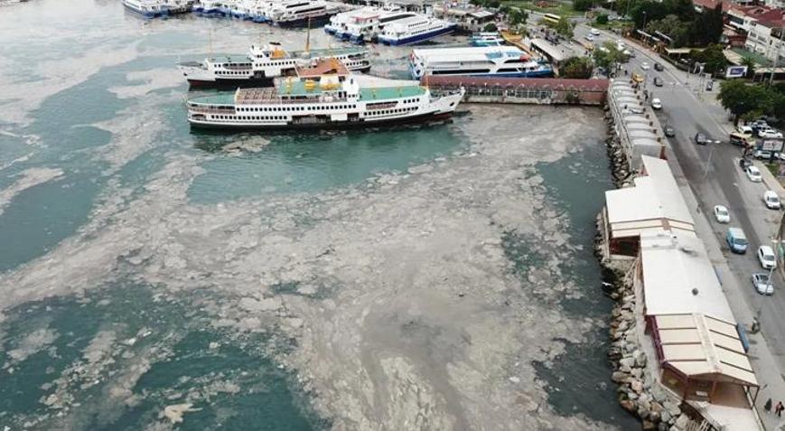 Müsilaj Bilim Kurulu toplanıyor! 13 üniversiteden akademisyen katılacak -  Son Haberler - Milliyet