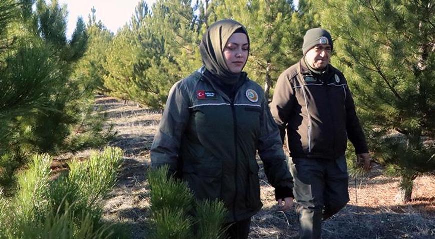 Ormanda yılbaşı nöbeti Fiyatı 1700 lirayı buluyor