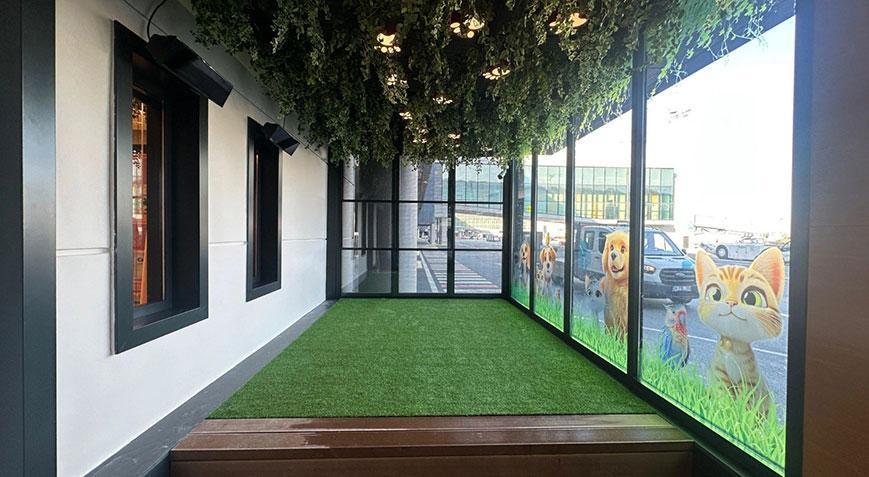 THY İstanbul Havalimanına Pet Lounge açtı