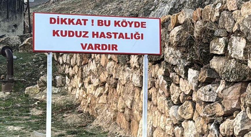Bir köyde kuduz alarmı Karantinaya alındı, 7 yaşındaki çocuk tedavi altında