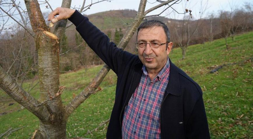 5 yılda 500 bitki üzerinde araştırma yapıldı 35i sağlam kaldı