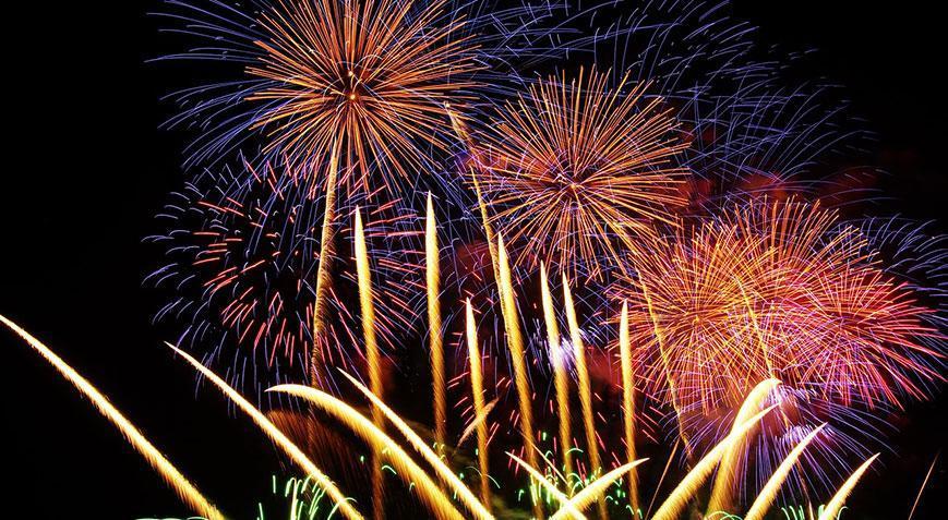 Saint Petersburgda kuşların yeni yılı