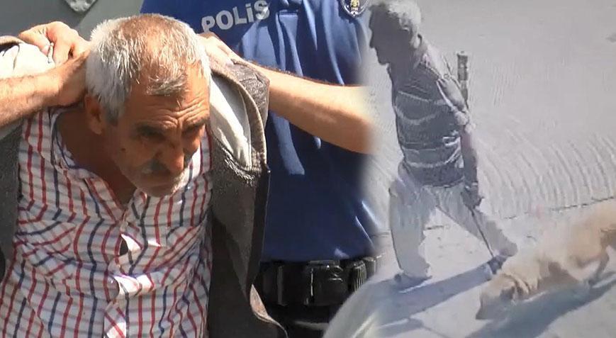 Bakırköyde köpeğe istismar davasında karar