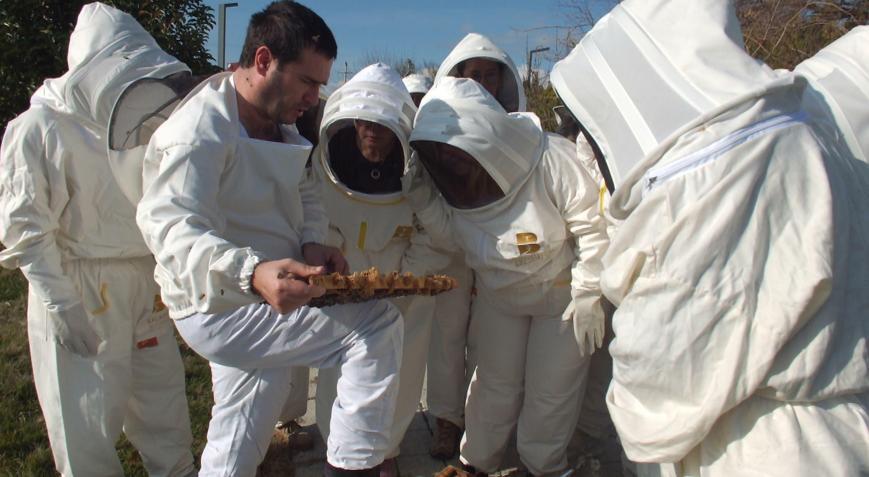 Türkiyenin değişik illerinden gelip Burhaniye de arıcılık öğrendiler