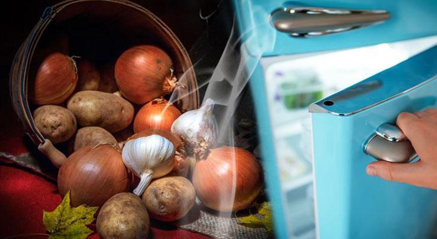 Patates, soğan ve sarımsaktan buzdolabına sızıyor Zehri sıfırlamak için 2 saat şart