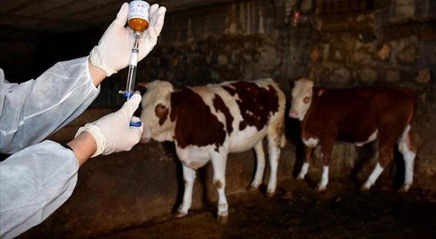 35 yıl sonra ilk kez görüldü Ve yasaklandı