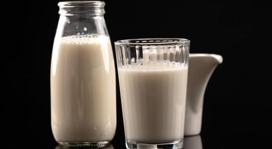 Toplanan inek sütü miktarı arttı