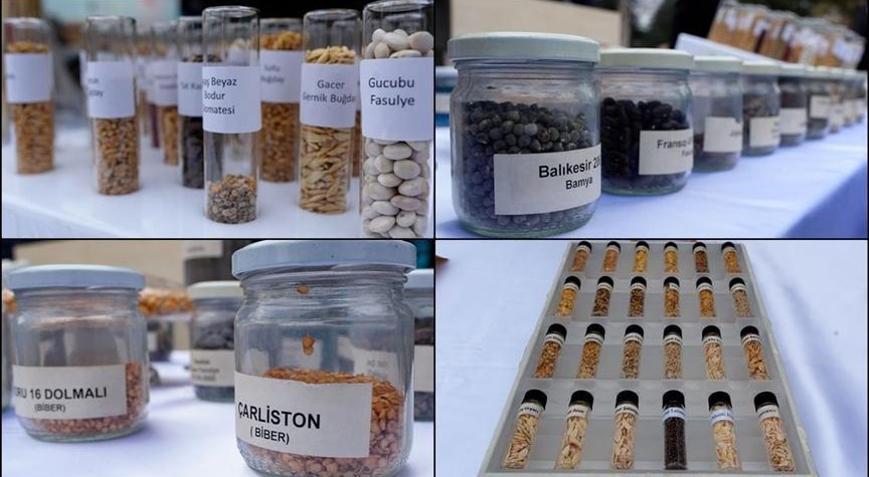 Bakan Yumaklı açıkladı: Ata tohumları Tarım Kredi marketlerde satılacak