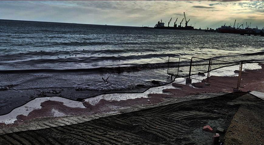 Yer: Tekirdağ Sahili gören şaşkına döndü