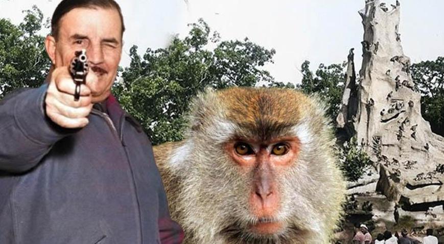 Kamptan büyük firar Al yanaklı 200 maymun, şehri cehenneme çevirdi: Ödülüm var