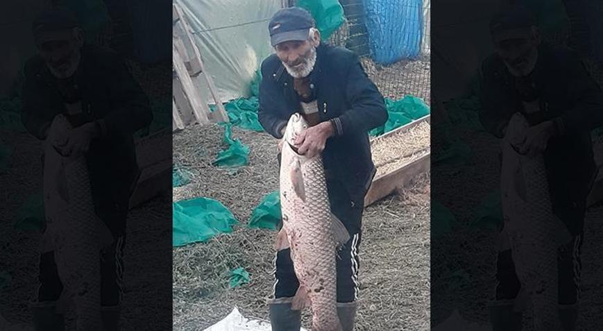 Edirne’de 1 metre boyunda 13 kilo ağırlığında sazan balığı yakalandı