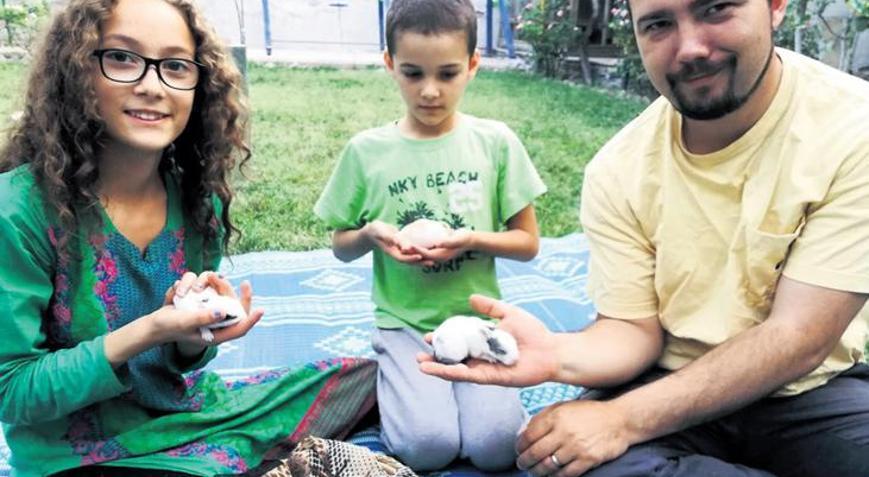 ‘Taliban liderinin başına ödül koyabiliriz’