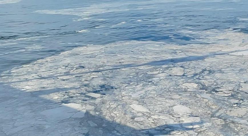 Kabus yeniden hortladı Marmara ölüm çığlığı atıyor