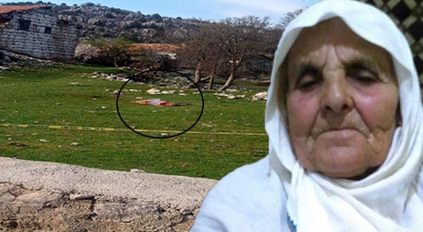 Yaşlı kadın köpeklerin saldırısında hayatını kaybetti 4 yıl 5 ay hapis