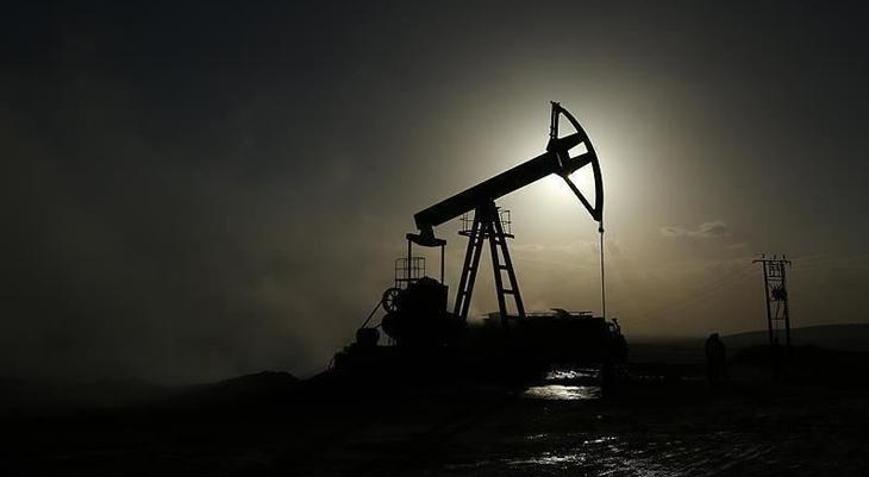 ABDnin ticari ham petrol stokları arttı