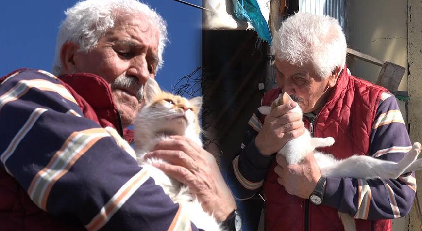 Her şey sahiplendiği kedi ile başladı Emekli olup köyüne yerleşti