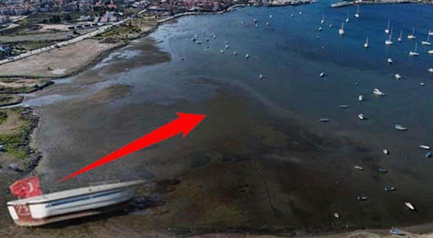 3 yıl önce de adres Seferihisar’dı Ege’deki çekilmede 6 Şubat yanılgısı: Artarsa takip şart