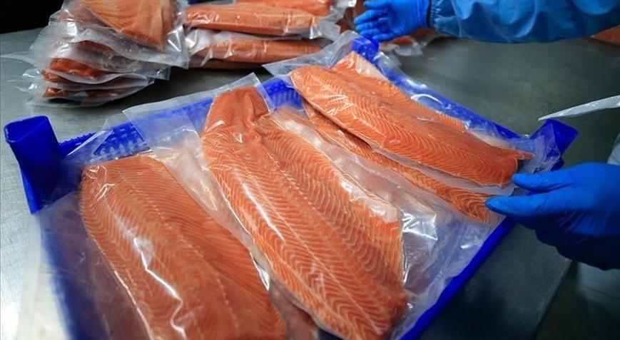 Türk somonu ihracatı 3,9 milyon doları aştı