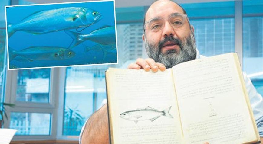 Denizlerin prensi lüferin devri daim olsun