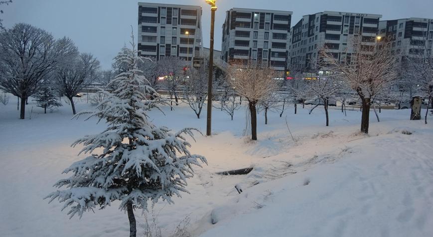 Bitliste kar etkili oldu