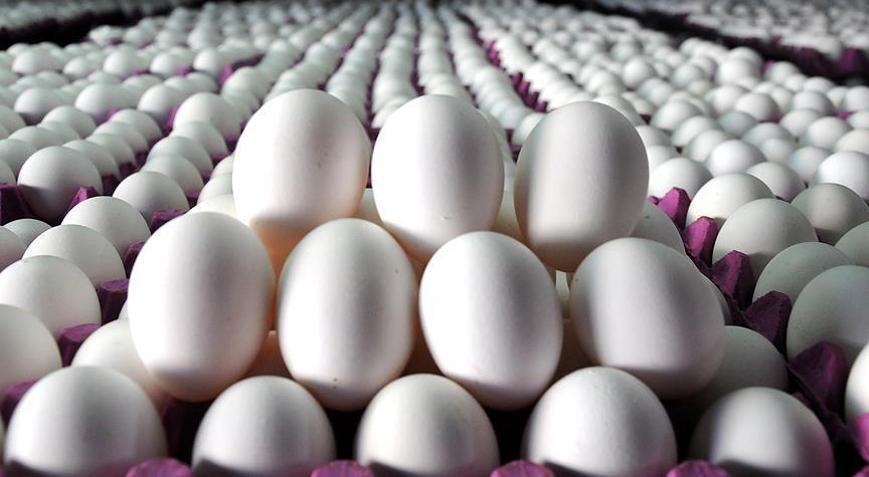 ABDdeki kuş gribi krizi Türk yumurtasına talebi artırdı