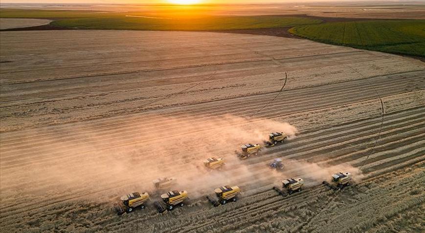 Tarım ÜFE ocakta aylık bazda arttı