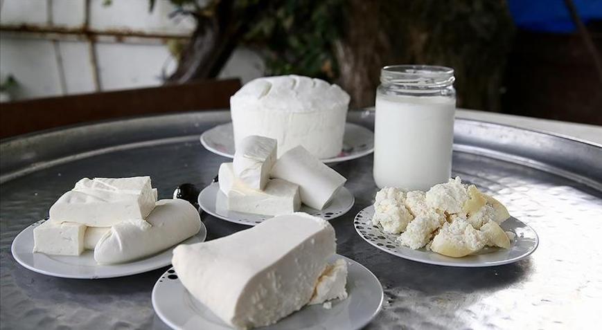 Süt üretimindeki artışın sektördeki yeni yatırımları teşvik etmesi bekleniyor