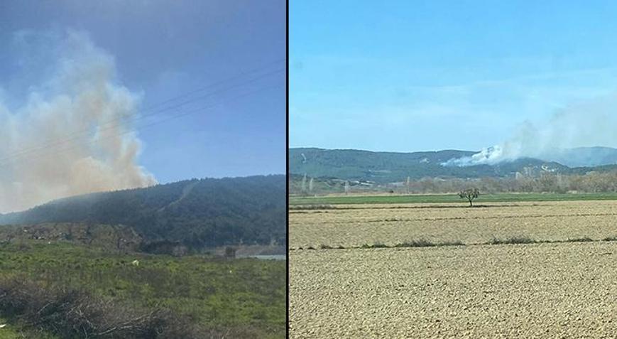 Çanakkalede orman yangını Müdahale sürüyor