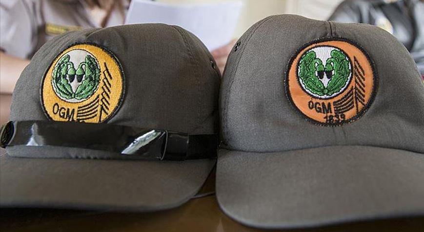 Orman Genel Müdürlüğü 252 daimi işçi istihdam edecek