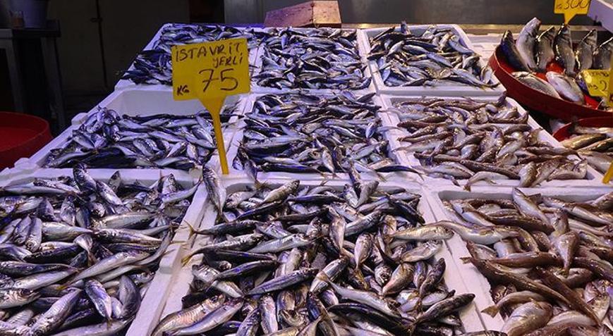 Türkiyede balık avı sezonu 15 Nisanda sona erecek