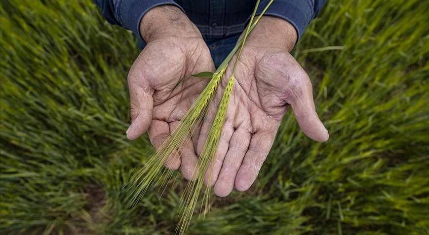 Çiftçilere ÇKS ürün güncellemesi hatırlatması