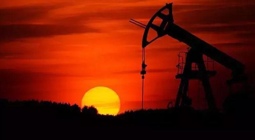 Petrol devlerinin karı geçen yıl geriledi