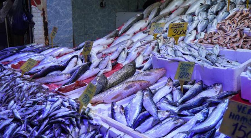 7 yılda bir görülen bereketli sezon balıkçıları sevindirdi