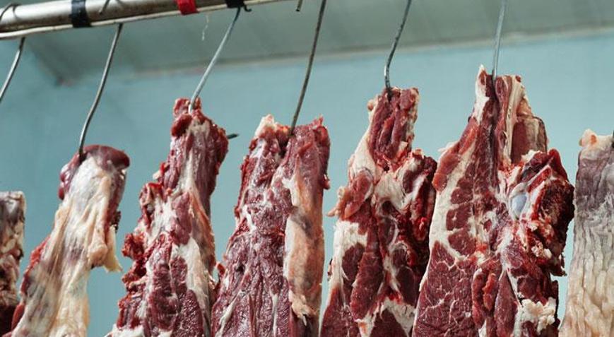 Tarım Bakanlığı ifşa etti: Eşek eti skandalı