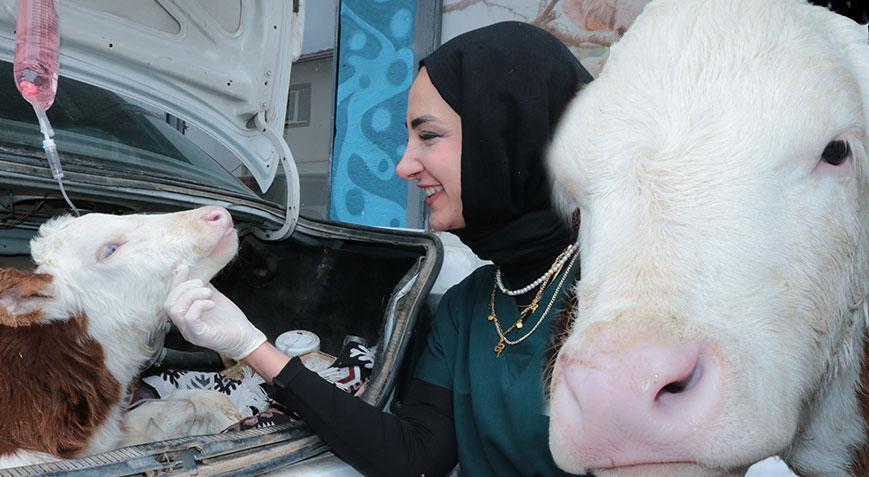 Yer: Yozgat Otomobilin bagajında 55 kilometre yol gitti