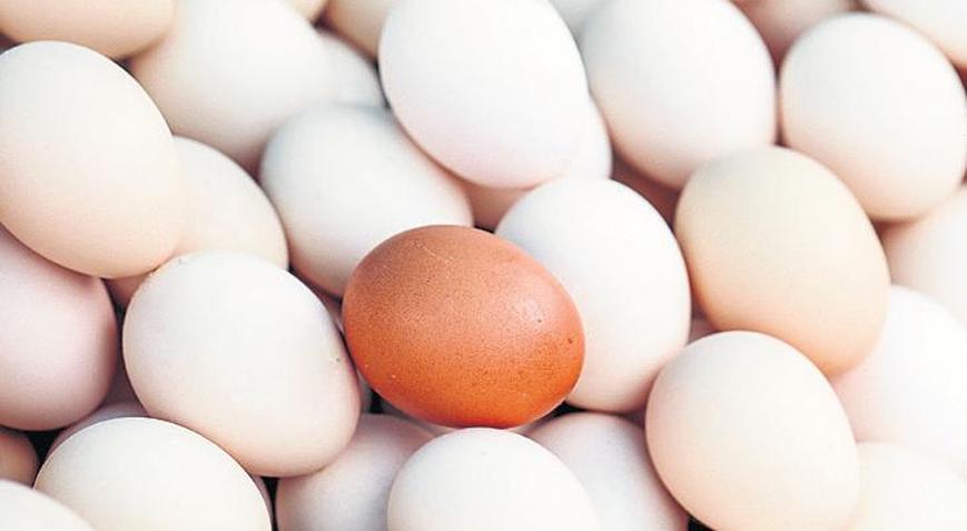 Yumurta ihracatı fon kesintisi arttı